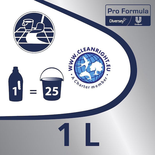 Alista Home Detergent Lichid Profesional pentru Podea cu Acțiune Dezinfectantă 1l
