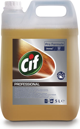Alista Home Detergent Lichid Profesional pentru Podea cu Acțiune Dezinfectantă 25l