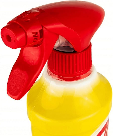 Unilever Καθαριστικό Spray Κατά της Μούχλας με Άρωμα Φρεσκάδας 500ml