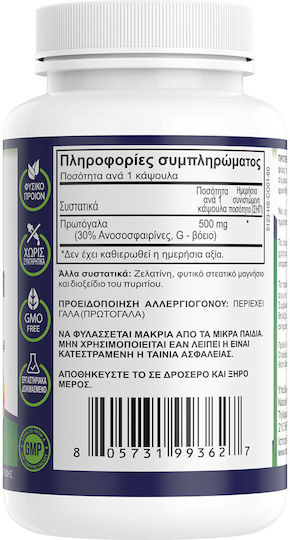 Natural Vitamins Коластра 500mg Добавка за Подсилване на Имунната Система 60 Капсули