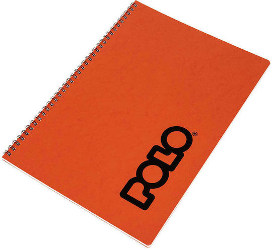 Polo Σπιράλ Τετράδιο Ριγέ Β5 40 Φύλλων 3 Θεμάτων Note