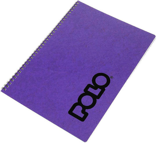 Polo Σπιράλ Τετράδιο Ριγέ Β5 40 Φύλλων 3 Θεμάτων Note