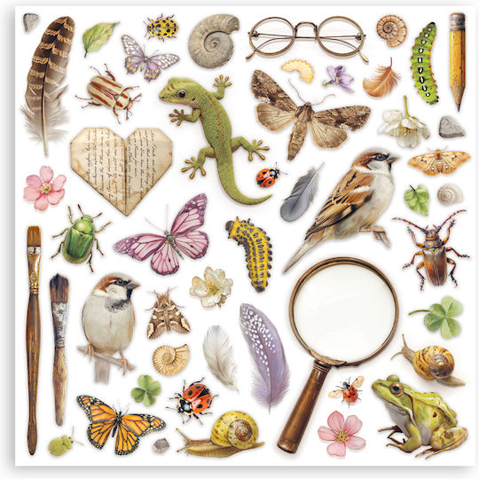 Χαρτιά Scrapbooking 10τεμ 30.5×30.5cm Stamperia All Around