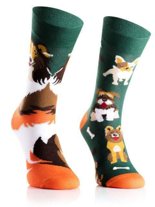 Todo Socks Männliche Mehrfarbige Socken Todo Socks Männliche Mehrfarbige Socken
