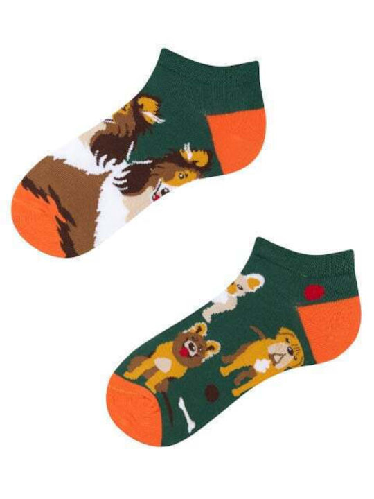 Todo Socks Dog Adventures Todo Socks Todo Socks Dog Adventures Todo Socks