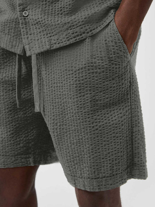 Men's Bermuda Green