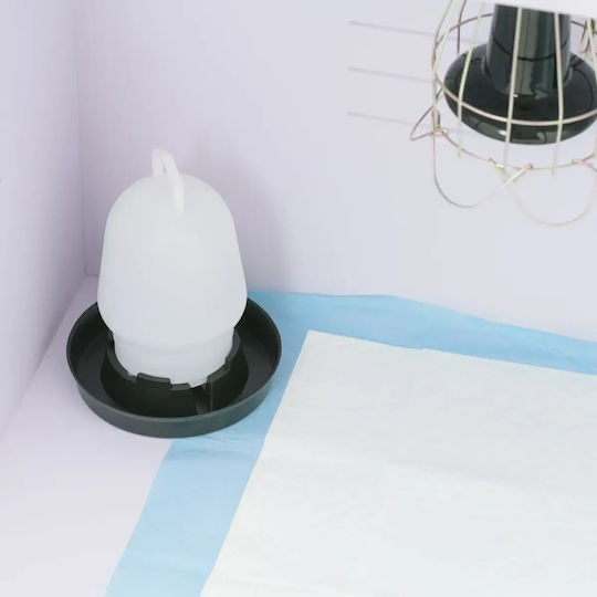 Brooder Box Rearing Chicks Up To 36°c 78 X 40 X 42 Cm