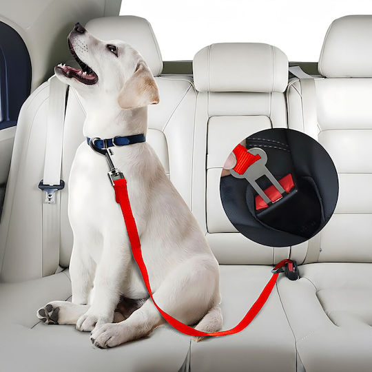 Mercaton Hunde Auto Reisezubehör Sicherheitsgurt Für Hund Rot