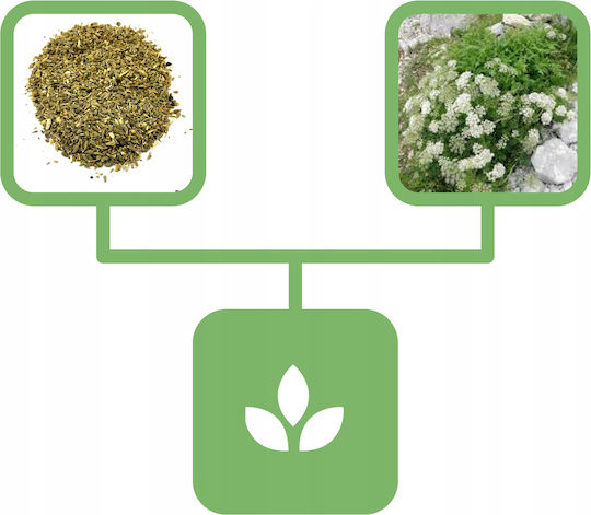 Anise Seeds 50 G Natural Shop