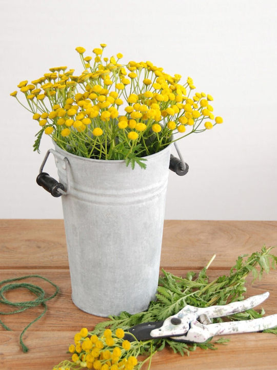 Esschert Design Vază Pentru Plante Din Lemn Verde