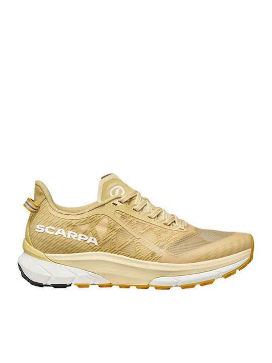 Scarpa