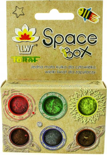 Toraf Space Box