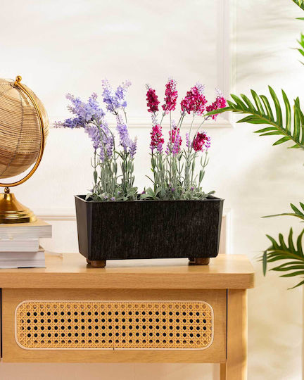 HowHomely Vaze Pentru Plante Negru