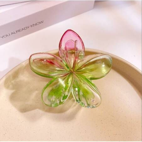 Ecarla Clamă De Păr Cu Floare Moana Ombre Verde Roz Sp319