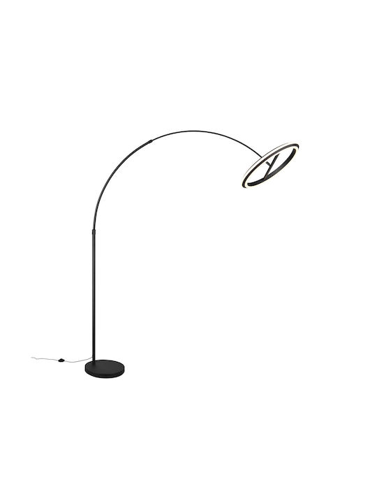 Trio Lighting 4424101 Trio Lighting 4424101