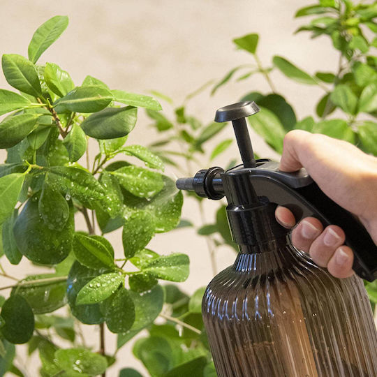 Pressure Sprayer Green Plants