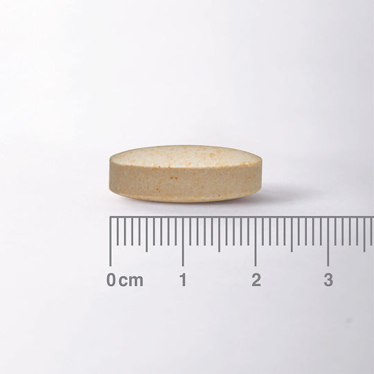 Lamberts Milk Thistle 6250mg 90 ταμπλέτες