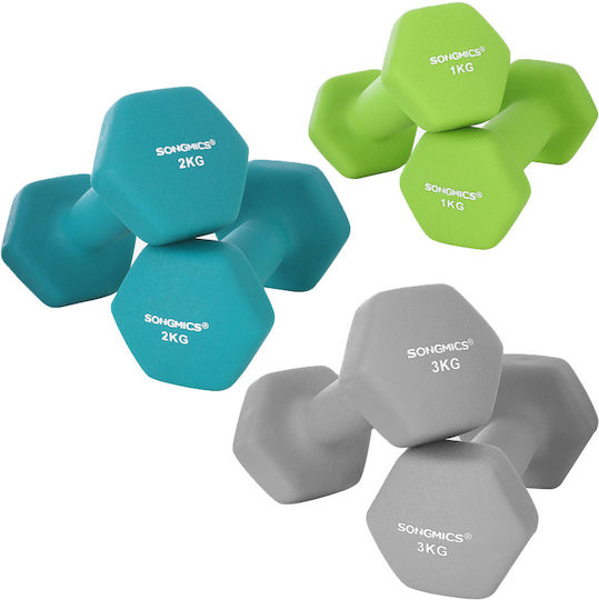 Songmics Βαράκι Εξάγωνο από Νεοπρένιο 1 x 3kg
