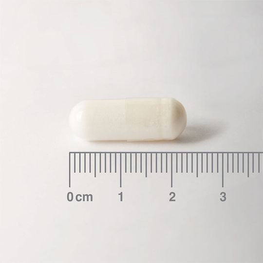 Lamberts L-carnitine with Carnitine 500mg 60 caps