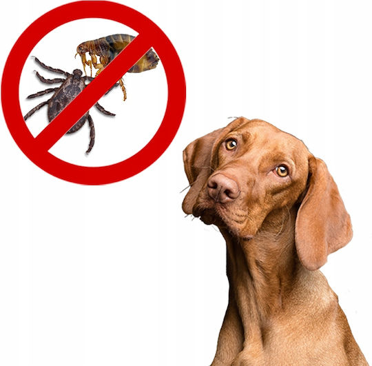 Happs Fleas Ticks 250ml