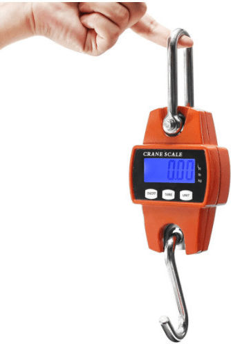 Electronic Professional Hanging Scale with Weighing Capacity of 300kg