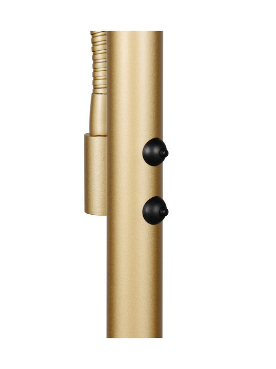 Trio Lighting Willis LED Floor Lamp H180xW40cm. with Adjustable White Light 5150lm Gold