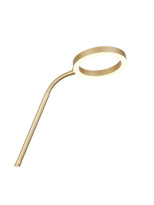 Trio Lighting Willis LED Floor Lamp H180xW40cm. with Adjustable White Light 5150lm Gold