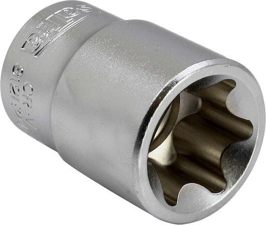 Techman Καρυδάκια Torx με Καρέ Υποδοχής 1/4", 3/8", 1/2" Σετ 14τμχ