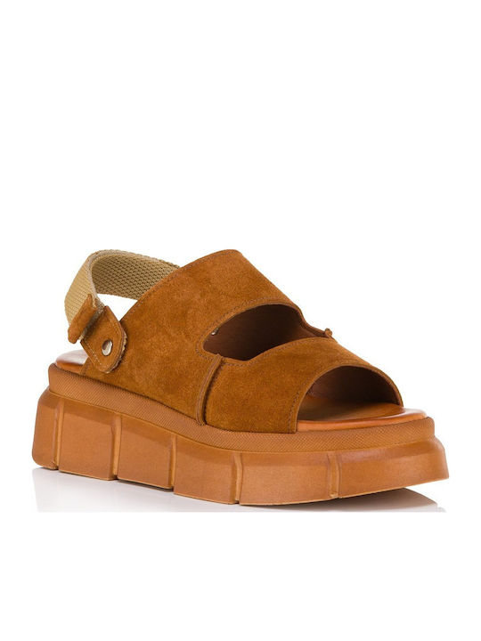 Tomas Shoes