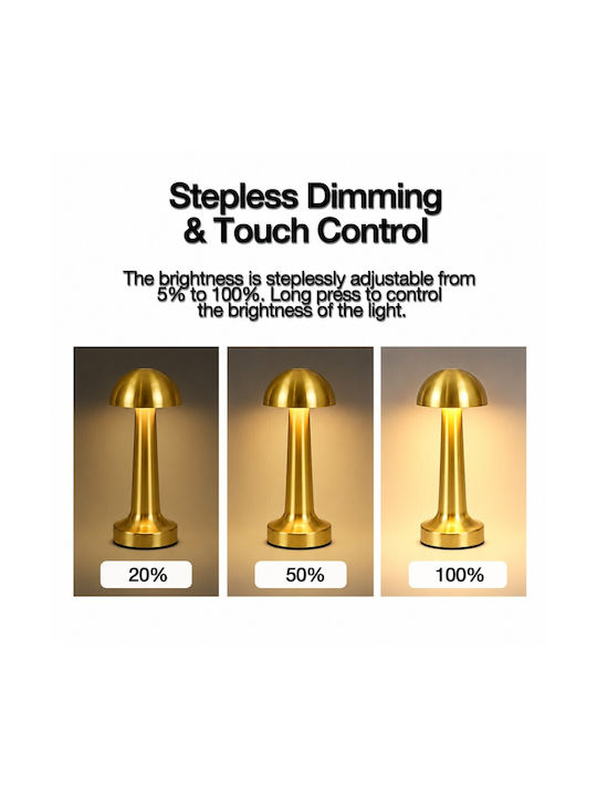 Decorative LED Light Warm White 3000K 10pcs