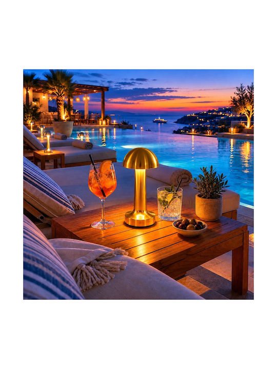 Decorative LED Light Warm White 3000K 10pcs