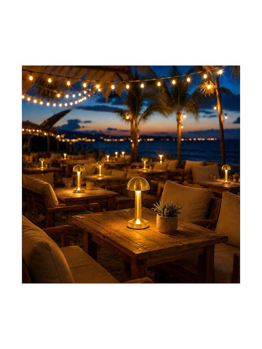 Decorative LED Light Warm White 3000K 10pcs