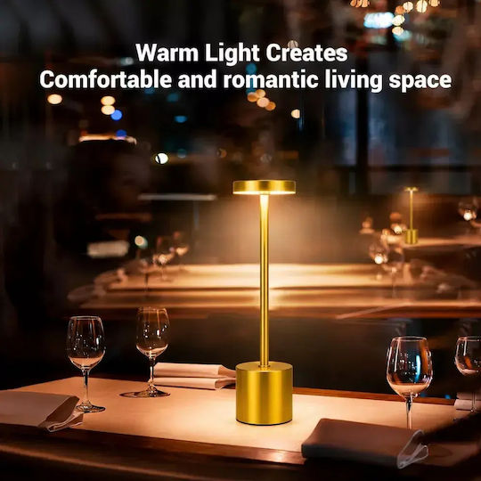 Decorative LED Light Warm White 3000K 4pcs