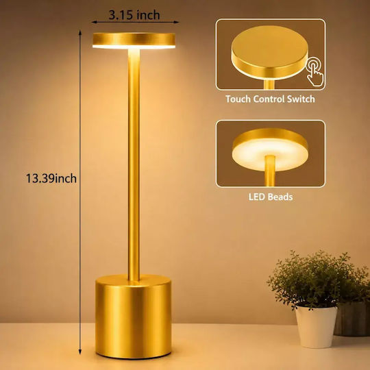 Decorative LED Light Warm White 3000K 4pcs