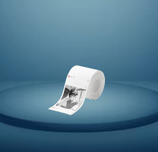 Niimbot Тайна Етикетограф в Бял Цвят