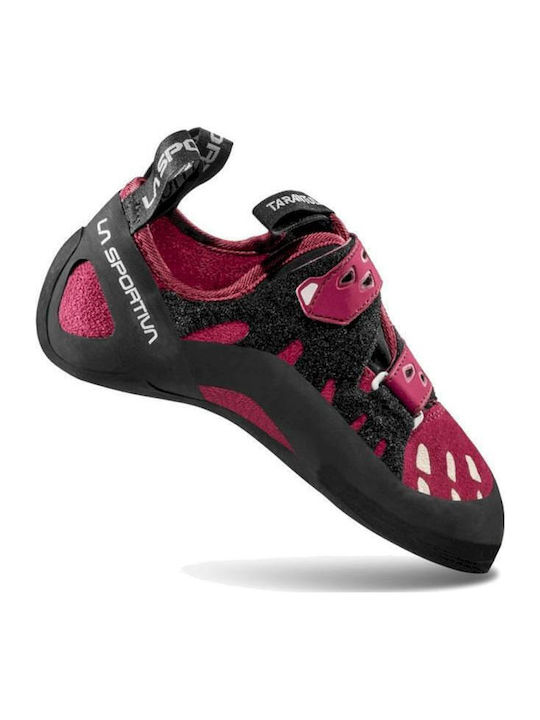 La Sportiva Tarantula Women's Climbing Shoes Purple