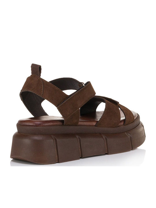Tomas Shoes