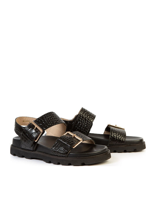 19V69