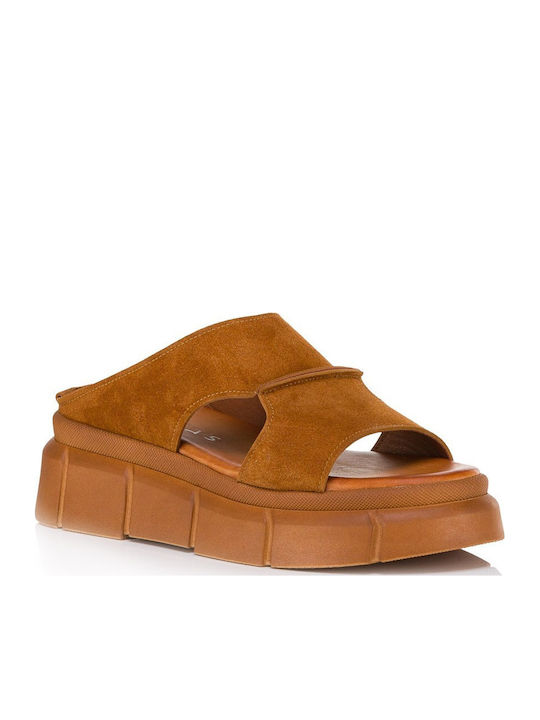 Tomas Shoes