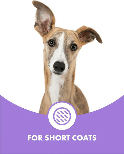 Balsam Shampoo Für Kurzes Haar Hunde Dotdotpet Vegan 100% Natürliche Zutaten 280 Ml