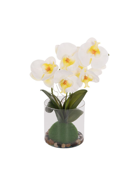 Decorative Artificial Plant Fb94738 Orchid Glass Vase 12x24x30cm