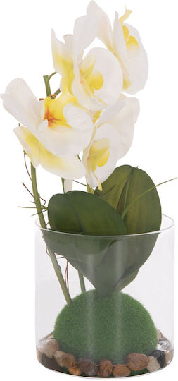 Dekoratives Künstliches Pflanze Fb94738 Blume Phalaenopsis Glasvase 12x24x30cm