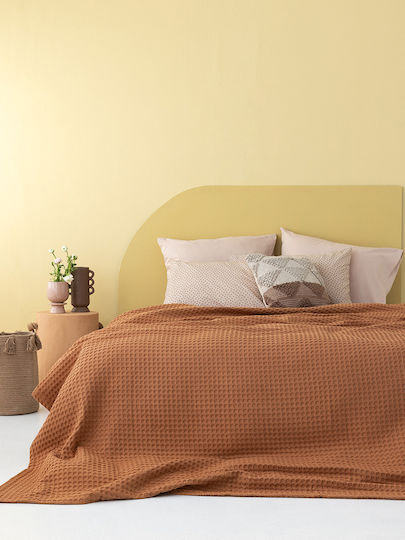 Palamaiki Marcie Piqué Decke Übergröße 240x250cm Kaffee