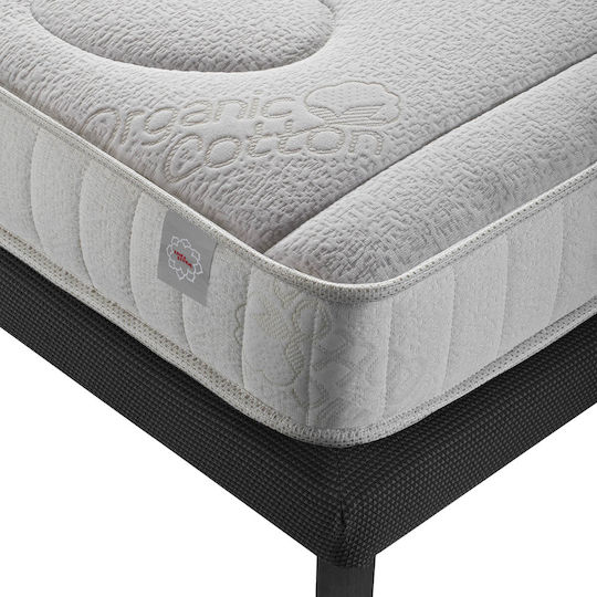 Linea Strom Crib Mattress Baby Coco Latex With Coconut Fiber & Latex 60x120+16cm