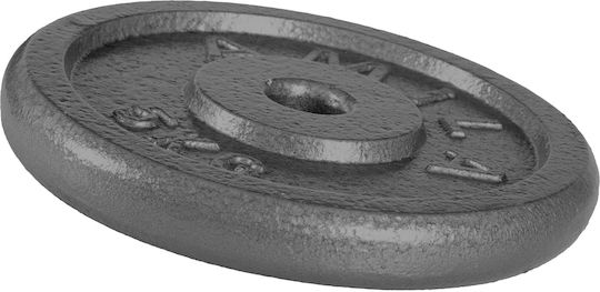 AMILA Δίσκος Μεταλλικός 1 x 5kg Φ28mm