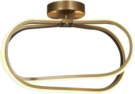 SteweHome Plafonieră de Tavan Aurie cu LED Integrat