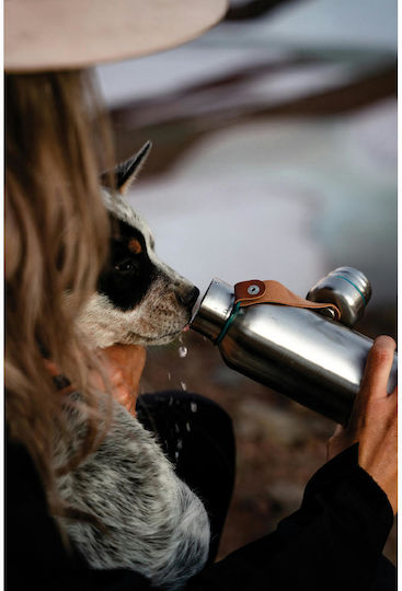 Black+Blum Stainless Steel / Plastic Thermos Bottle 500ml Silver