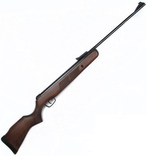 BSA Αεροβόλο Meteor Evo 5mm