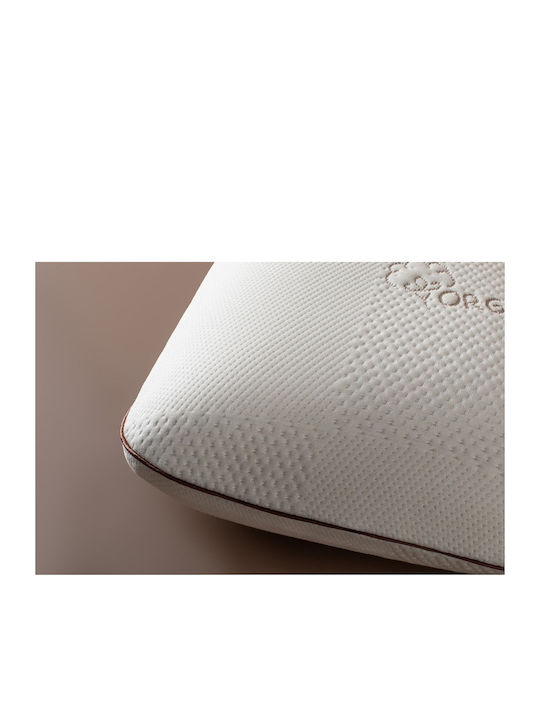 SteweHome Bed Pillow Memory Foam 35x65cm