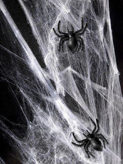 Karneval Spinne Schwarz für Halloween aus Kunststoff 10Stück